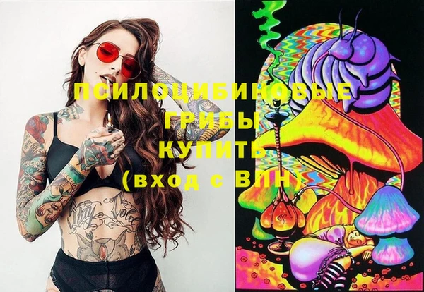 молекула духа Лиски